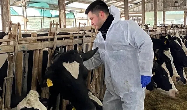 Kırklareli'nde Şap Hastalığına Karşı Etkin Mücadele Devam Ediyor