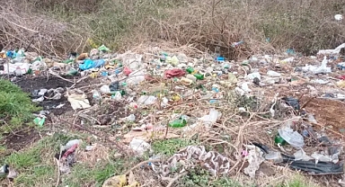 Kıyıköy Aşıklar Tepesi'nde Temizlik Çalışmaları