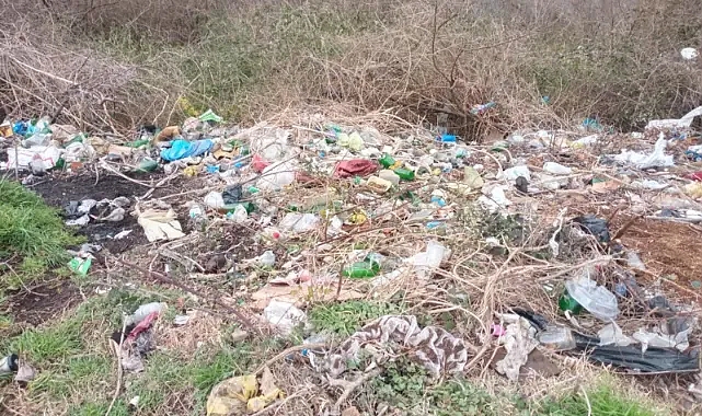 Kıyıköy Aşıklar Tepesi'nde Temizlik Çalışmaları