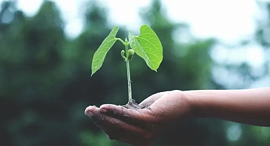 Tarım Ürünleri Üretici Fiyat Endeksi Ocak 2025 Verileri Açıklandı