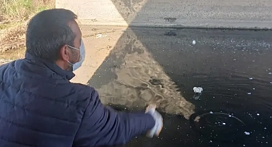 Alpullu Belediyesi'nden Sivrisinekle Mücadelede Etkin Adım