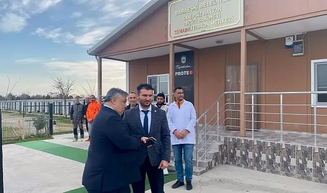 Babaeski Belediyesi, Sokak Hayvanları İçin Sağlık ve Refah Çalışmalarını Sürdürüyor