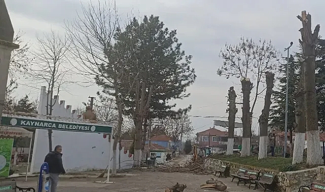Kaynarca Belediyesi'nden Cami Bahçesinde Bakım Çalışması