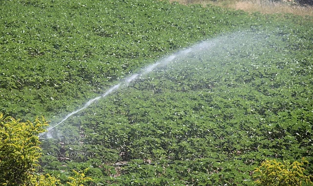 Kırklareli İl Tarım ve Orman Müdürlüğü'nden 2025 Yılı Kırsal Kalkınma Destekleri Duyurusu