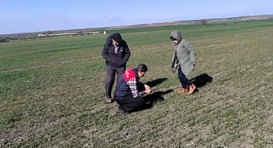 Kırklareli İl Tarım ve Orman Müdürlüğü Tarımsal Çalışmalarda Hız Kesmiyor