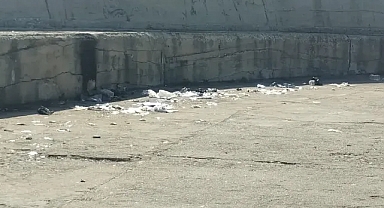 Kıyıköy Belediye Başkanı Özen’den Çevre Temizliği Mesajı: "Kıyıköy Hepimizin"