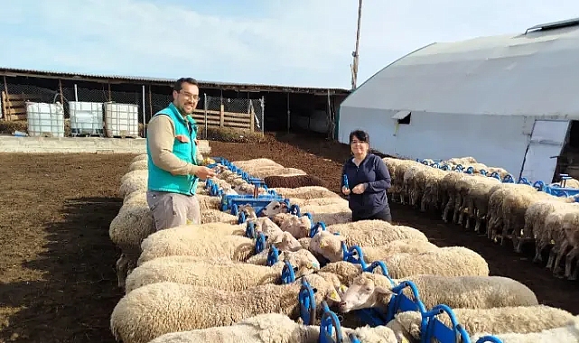 Pınarhisar İlçe Tarım ve Orman Müdürlüğü Çalışmalarına Hız Kesmeden Devam Ediyor