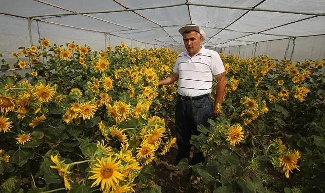 Trakya Üniversitesi'ne TÜBİTAK'tan Prestijli Proje Desteği