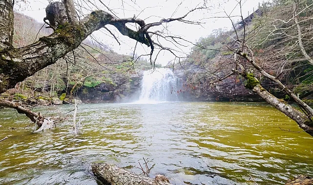 Türkiye'de Bir İlk: EkoFotoSafari Projesi Başladı