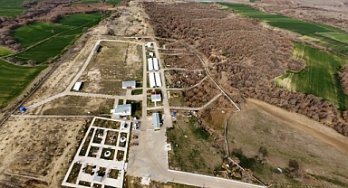 Keşan'da Sokak Hayvanları İçin 11 Milyon Liralık Doğal Yaşam Alanı Yatırımı