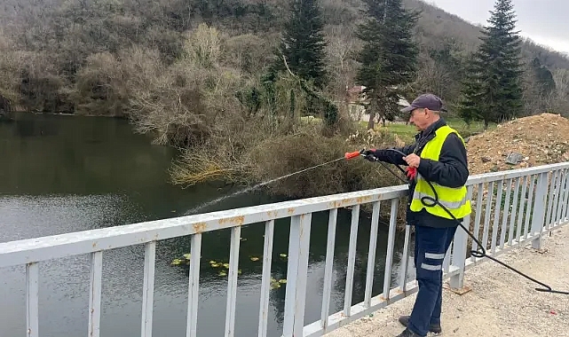 Kıyıköy Yaz Aylarına Hazırlanıyor, Haşere İlaçlaması Başladı