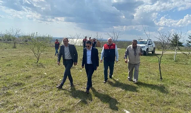 Kofçaz'da Zirai Don Alarmı: Yetkililer Hasarı Yerinde İnceledi