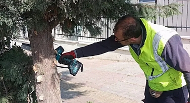 Lalapaşa Belediyesi'nden Çevre Düzenlemelerinde Büyük Atılım