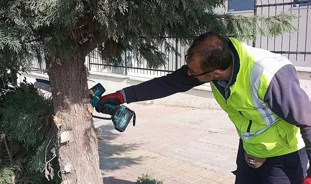 Lalapaşa Belediyesi'nden Çevre Düzenlemelerinde Büyük Atılım