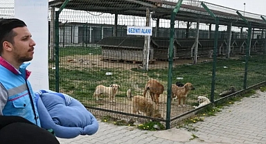 Lüleburgaz’da Hem Hayvanlara Şefkat Hem Geri Dönüşüme Katkı