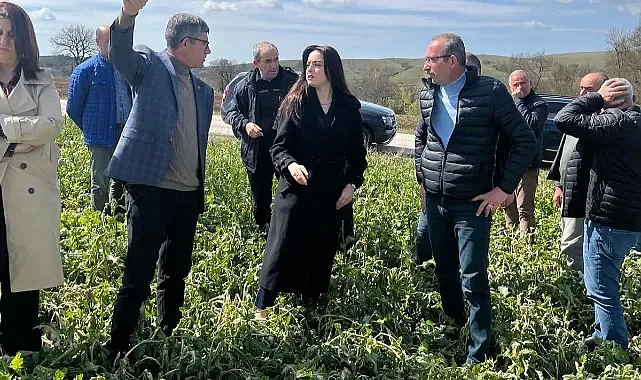 MHP MYK Üyesi Büşra Cin Kırklareli’de: "Üreticimizin Yanındayız, Tarladayız, Sahadayız!"