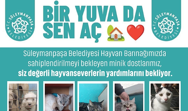 Süleymanpaşa Belediyesinden Anlamlı Çağrı