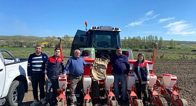 Vize'de Yerli Ayçiçeği Tohumları Toprakla Buluştu