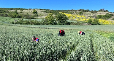 Kırklareli'nde Tarımda Teknik Denetimler ve Yenilikçi Projeler Hız Kesmeden Devam Ediyor