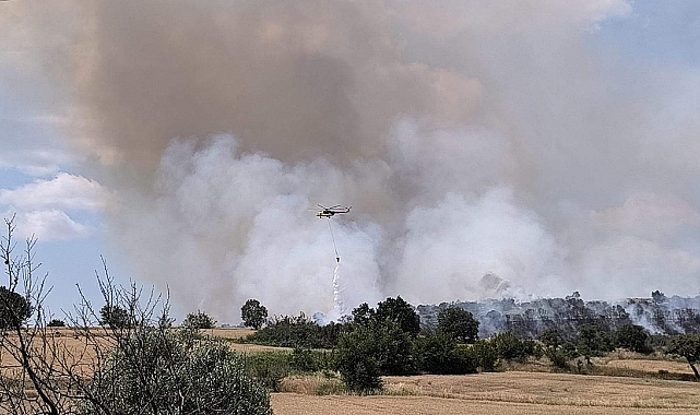 Edirne'de orman yangını