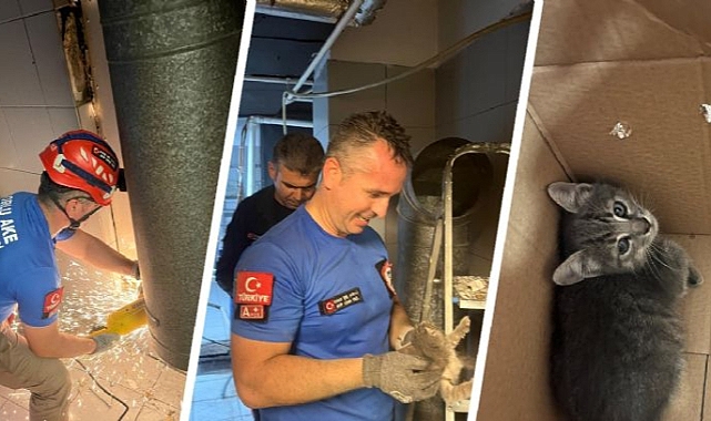 Havalandırma Boşluğuna Sıkışan Yavru Kediyi Çorlu AKE Kurtardı