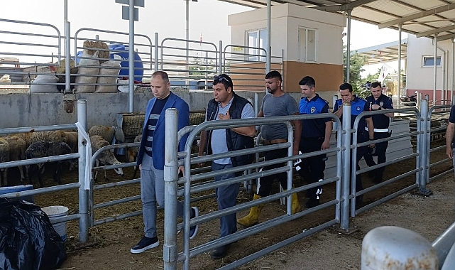 Kırklareli’nde Kurban Kesimi Güvenli Ellerde!