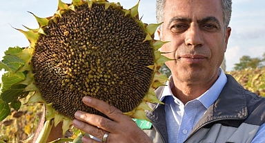 Lüleburgaz İlçe Tarım Müdürü Sağdıç'tan Uyarı: "Mangalı Evde Yak, Doğayı Koru"