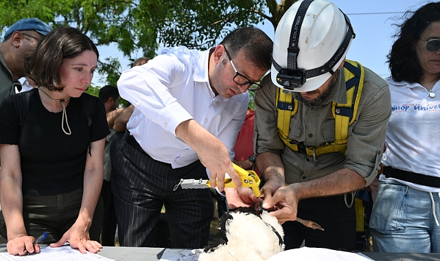 Trakya'nın Kuşları Halkalanıyor