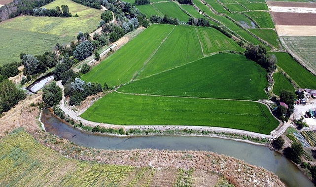 Tunca Nehri’nin kuruma noktasına geldiği Edirne’de, çeltik üreticisi tedirgin