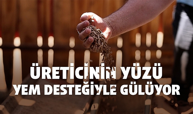 Üreticinin Yüzü Yem Desteğiyle Gülüyor