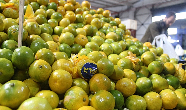 Kırklareli Kapalı Pazarında Mandalina 35 TL'den Satılıyor