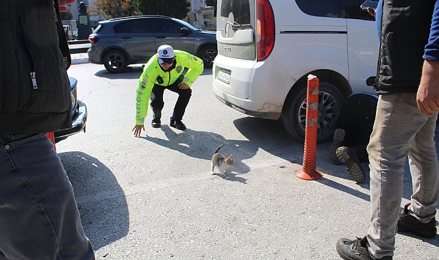 Kırklareli'nde Ekip Arabasına Giren Yavru Kedi Seferberlik Yarattı