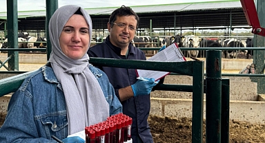 Lüleburgaz'da Arilik Çalışmaları Kapsamında Hayvan Sağlığı Takibi Sürüyor