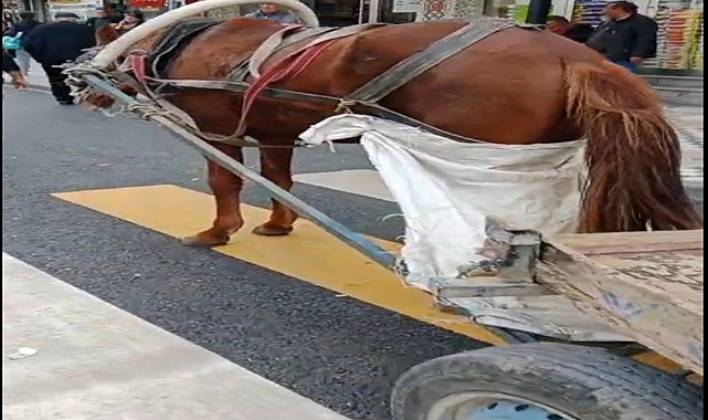 Yaya geçidine park edilen at arabasının sahibine 993 lira ceza