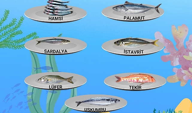 Kırklareli İl Tarım ve Orman Müdürlüğü Aralık Ayı İçin Tüketilebilecek Balıkları Açıkladı