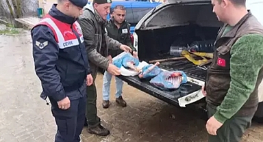 Kırklareli'de karaca avlayan kişiye 50 bin lira ceza
