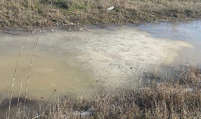 Kırklareli'nde Don Etkisi: Su Birikintileri Buzla Kaplanıyor