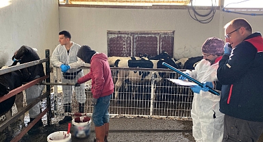 Kırklareli'nde Hayvancılık İşletmelerine Sıkı Denetim
