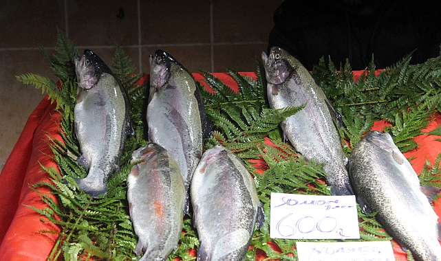 Kırklareli'nde Somon Şoku