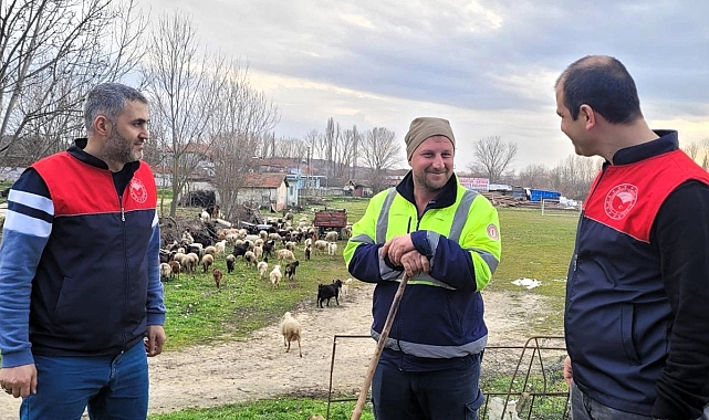 Pınarhisar'da Küçükbaş Yetiştiricilerine Sahada Destek