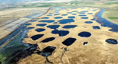 Sıcaklığın eksi 8 dereceye düştüğü Edirne'de, Tunca Nehri ve gölet buz tuttu