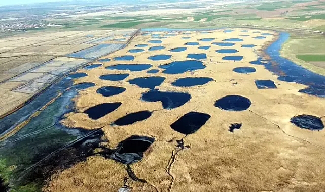 Sıcaklığın eksi 8 dereceye düştüğü Edirne'de, Tunca Nehri ve gölet buz tuttu