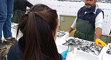Demirköy'de Hamsi Nakillerine Sıkı Kontrol!