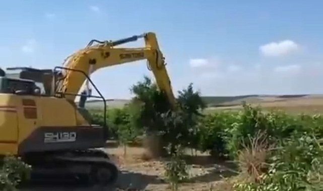 Limon Kararı Gündem Oldu: Yerli Üretici İçin Uyarı Geldi