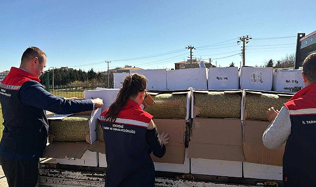 Tekirdağ'da baklavada kullanılacak 2 ton aflatoksinli fıstık ele geçirildi