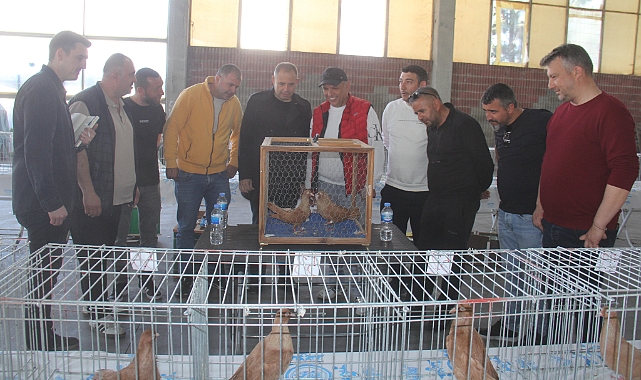 Başkan Derya Bulut Pınarhisar’daki Festivale Katıldı
