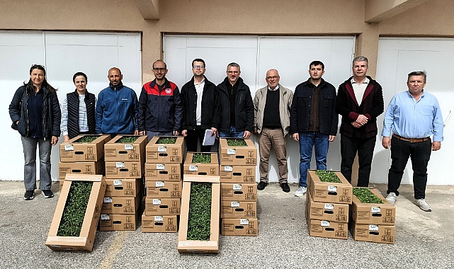 Kırklareli'nde Çiftçiye Can Suyu: Domates Fidesi Dağıtımı Yapıldı