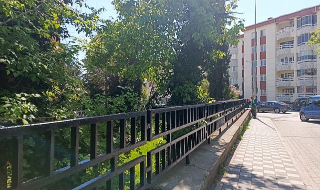 Kırklareli Valiliği'nde Estetik Dokunuş! Demirler Baştan Boyandı