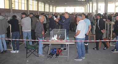 Pınarhisar'da Gönüllere Taht Kuran Renkli Festival