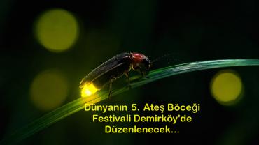 Ateş Böceği Festivali Türkiye’de İlk Kez Düzenleniyor